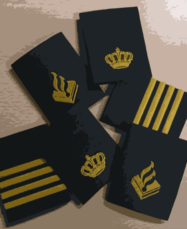 Welke wapens draagt een DSI-operator? - PolitieUniform.nl